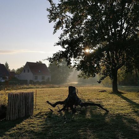 Ferienwohnung & Campingplatz Vor Dem Berg Heideblick Экстерьер фото