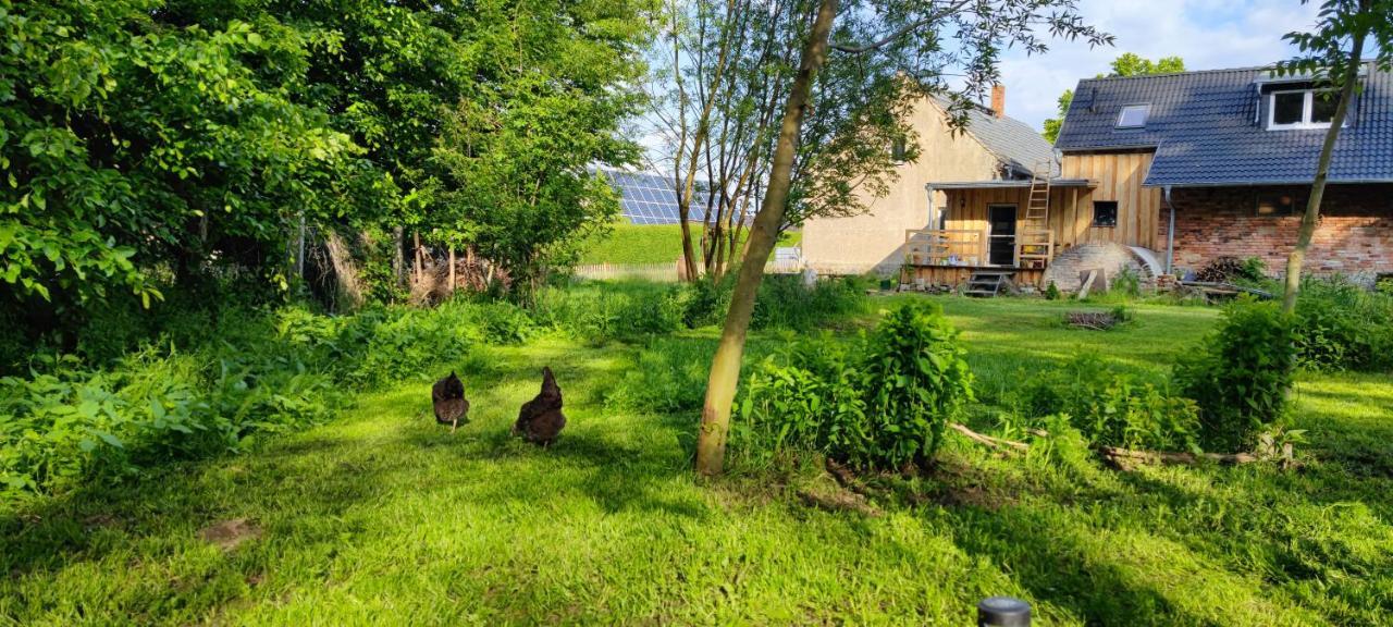 Ferienwohnung & Campingplatz Vor Dem Berg Heideblick Экстерьер фото